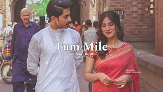 Tum Mile Lofi Slow Reverb Javed Ali 