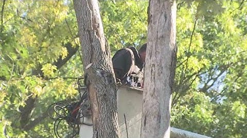 Indianapolis firefighters rescue tree trimmer