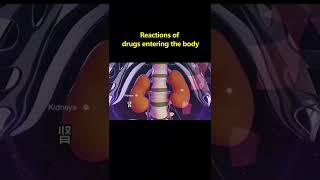 Celebrity #1 Respect the Surgical Tech #Shorts #funny #doctor Net Worth