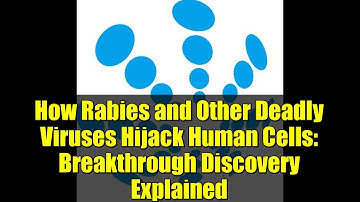 How Rabies and Other Deadly Viruses Hijack Human Cells: Breakthrough Discovery Explained