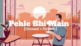 Pehle Bhi Main Lofi Version | Animal | Vishal Mishra | Raj Shekhar