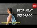 Estudios en Japón [1]: Documentos y Exámenes