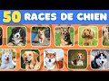 Quiz chien  trouve les diffrentes races de chien 