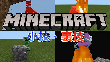 マインクラフト 名前裏技