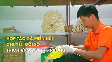 Hợp tác xã miền núi chuyển đổi số, thích ứng với thị trường – Chuyển đổi số| Thái Nguyên TV
