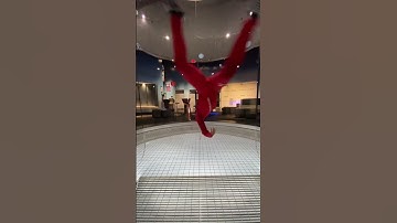 Which Flyer Are You? 😂