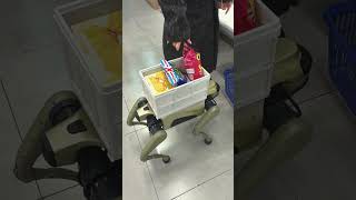 Robot Dog as a Portable Shopping Cart!It carried all my snacks#robotdog #futuretech #vlog #dailyvlog