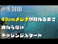 【城ヶ島】初心者が簡単な仕掛けでメジナを釣ることに挑戦 #1 ミャク釣りでグレを狙う