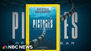 How National Geographic selects the ‘pictures of the year’