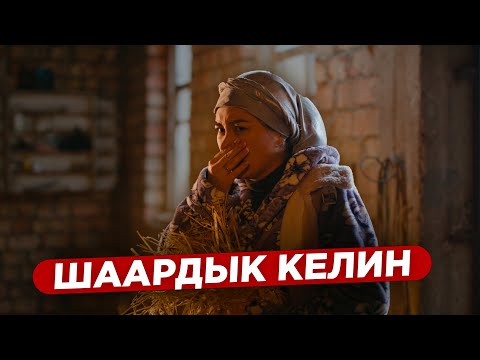 Video: Шаардык батирге жана айыл үйгө сантехника. Туалет-компакт