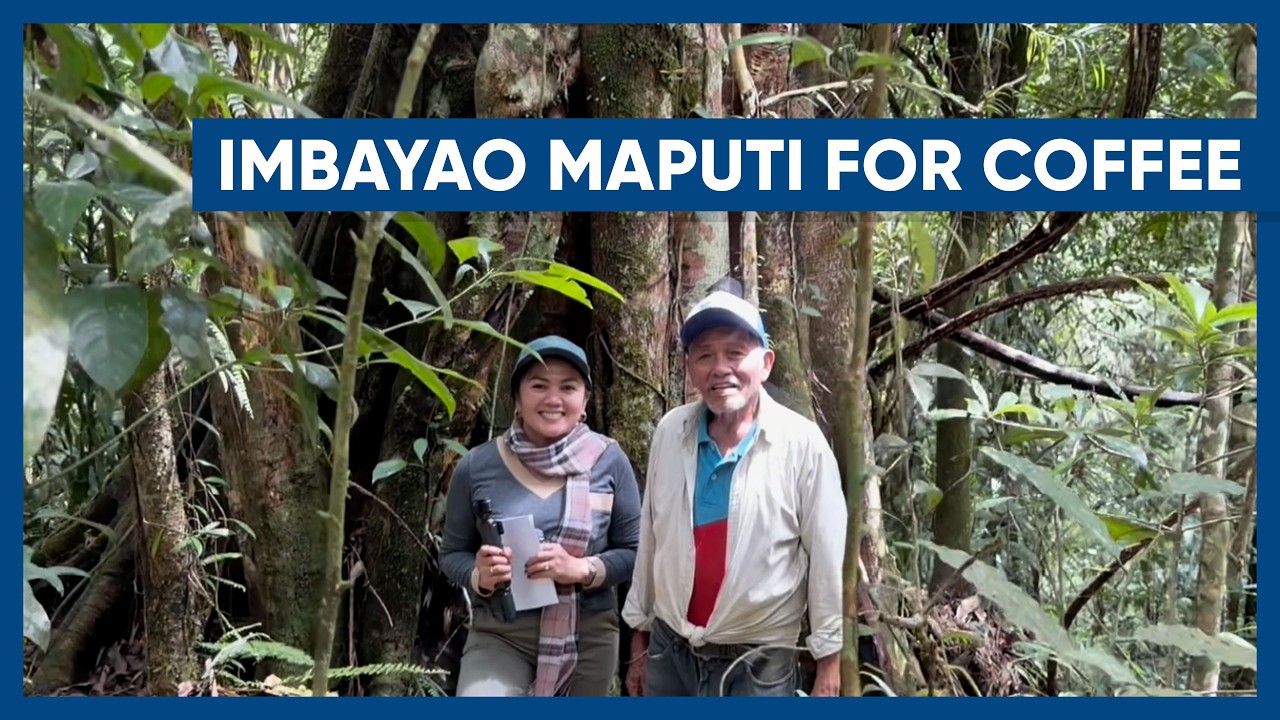 IMBAYAO MAPUTI FOR COFFEE