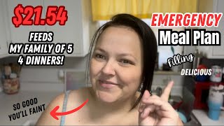 Dinner for 4 Days for LESS Than $22! || Shopping List Included! || Emergency Meal Plan