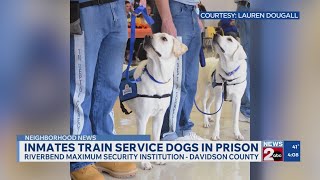 Nashville prison service dog program seeks training supplies