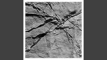 Hipparchia of Maroneia ≈ 320 BC