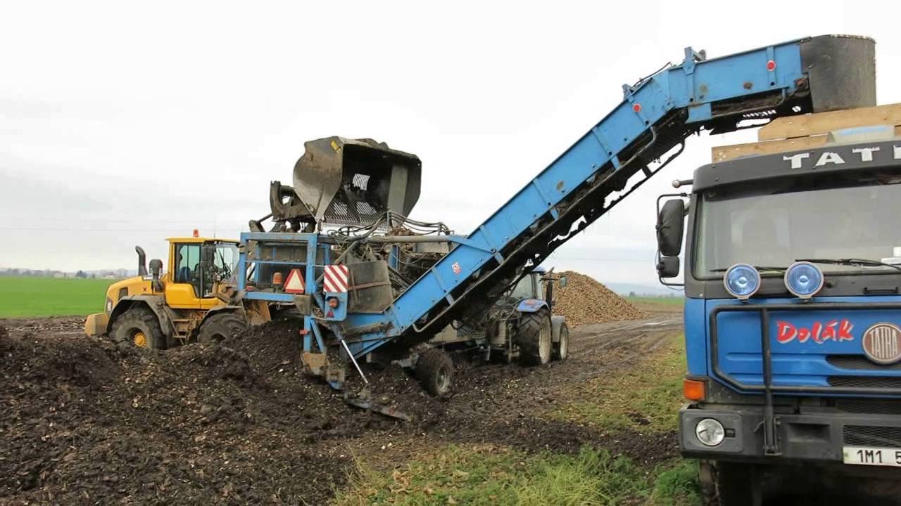 Návoz cukrovky do cukrovaru Vrbátky 2014 (sugar beet, Czech Republic)