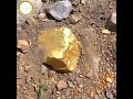 Золото нашли