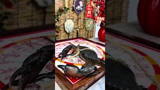 20250427 Nantong sugar painting non heritage model thrown on the slate, this time how can do not l 1