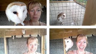 I came home from vacation and THIS is what happened to my owl 🙈 update on Lookie + making jesses by Vegan Hippie 1,891 views 4 years ago 16 minutes