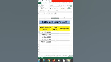 How to calculate expiry date in excel | edate function