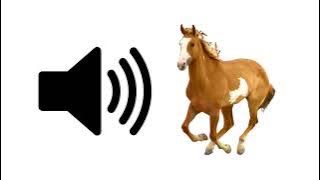 Horse - Sound Effect