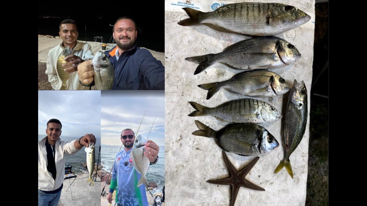 DEV MIRMIR Aldık!! Çupra, Karagöz, İstavrit Hepsi Bu Avda!! Güzelbahçede Kıyıdan Balık Avı..