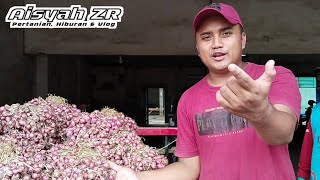 MENGEJUTKAN LAGI GUYS...!!! SABTU, 14/2/2026, HARGA BAWANG MERAH HARI INI DIPASAR BAWANG PROBOLINGGO