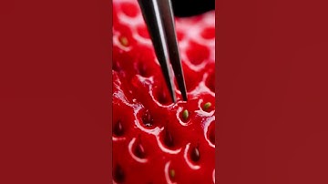 microscope satisfying video : #zoom #macro #macrovideo #asmr #macrofying #microscope #satisfying #ft