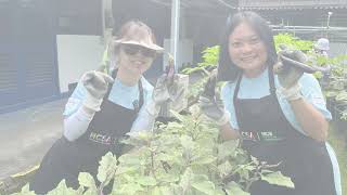 Deep Roots, Bold Future | FranklinCovey Singapore x HCSA Community Services