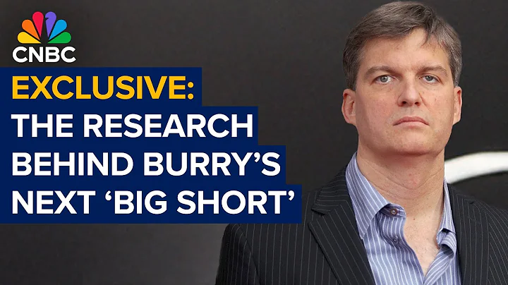 The research behind Michael Burry's next 'Big Short'