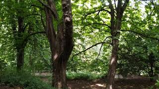 Jesmond dene, newcastle upon tyne, UK