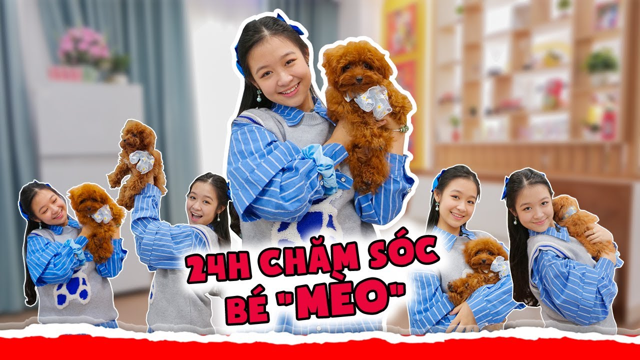cham soc cho meo 2022 Update Thử thách 24h bạn \