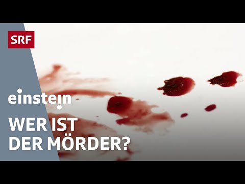 Dem Mord auf der Spur: So jagt die Wissenschaft Verbrecher | Einstein | SRF Wissen