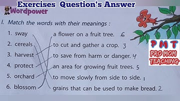 English Class 3/ In the Orchard/ Exercises Question