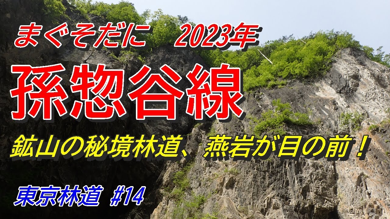 東京林道 #14  林道 孫惣谷線（2023年）東京都奥多摩町