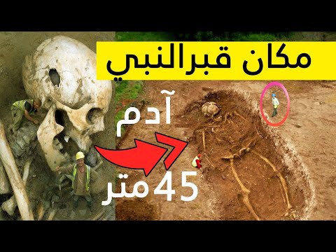 في بلد عربي دفن أدم عليه السلام فماذا حدث عند وفاته وهل قابل سيدنا محمد ﷺ قصص الانبياء