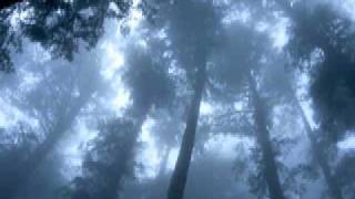 Adyashanti - Little-me feels good meditating!