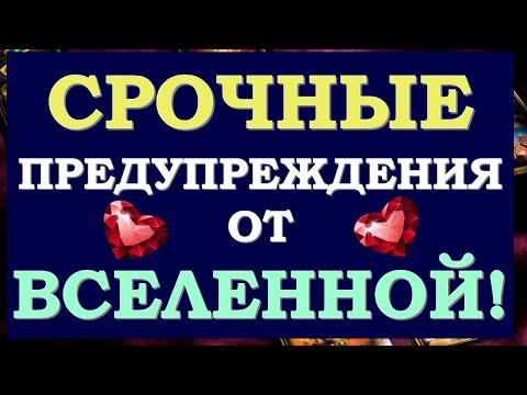 ⚡ ЧТО МНЕ