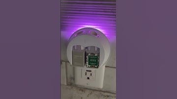 Review: Pura 4 Smart Fragrance Diffuser - Adjustable, Long-Lasting, User-Friendly