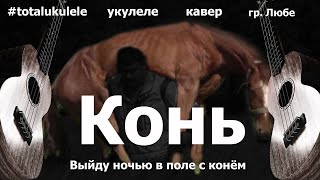 картинка: Конь - Любе. Выйду ночью в поле с конем. Укулеле. Кавер.