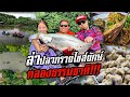 ล่า! ปลากรายไซส์ยักษ์ 3 คนแบก? จากคลองธรรมชาติ!! [หัวครัวทัวร์ริ่ง] EP.163