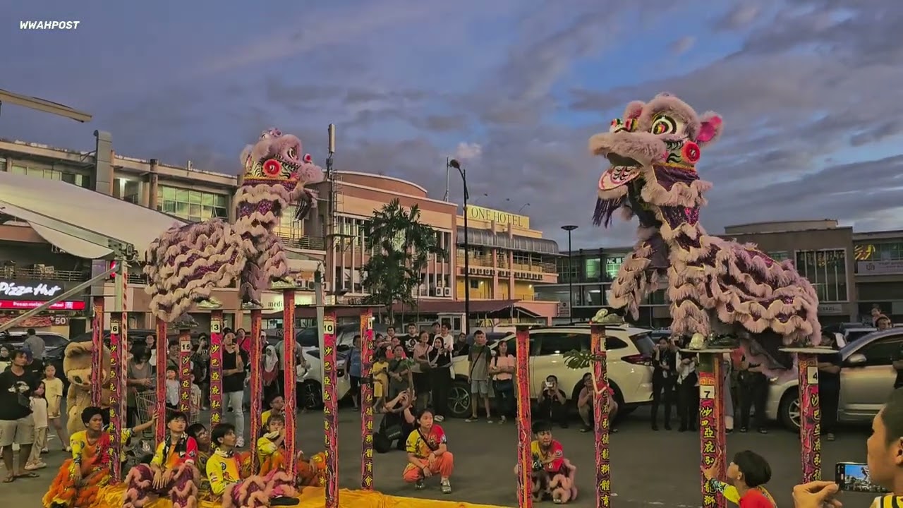 lion dance duo high pole performance by SSG Sabah 🇲🇾