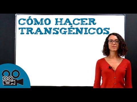 Video: ¿Cómo se hace un animal transgénico?