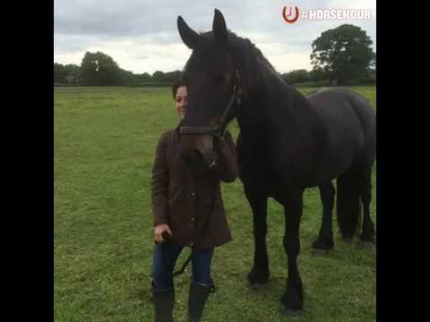 Equine Craniosacral Therapy on #HorseHour