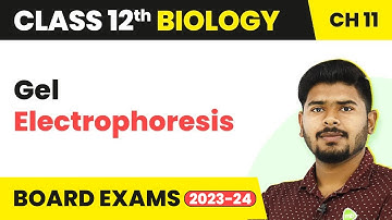 Gel Electrophoresis - Biotechnology Principles and Processes | Class 12 Biology (2022-23)