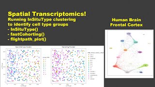 Spatial Transcriptomics - Part 4: Unsupervised InSituType