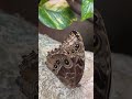 Butterfly exhibit #subscribe #ytshorts #youtubeshorts #butterfly