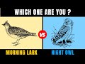 15 Signs Whether You're a Morning Lark or Night Owl