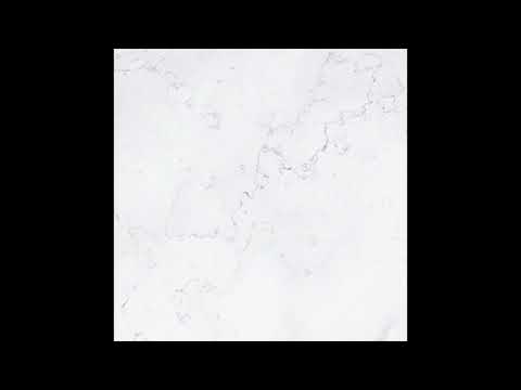 LEON (딥상어) - US (Official Audio)