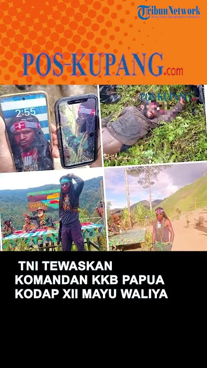 In a firefight in Lanny Jaya, the Indonesian National Armed Forces (TNI) killed the commander of ...