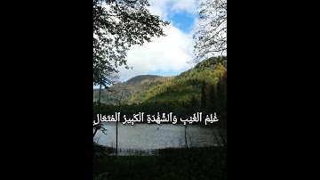 تلاوة عطرة للقارئ الشيخ(عبد الولي الأركاني) حفظه الله🥀 #quran